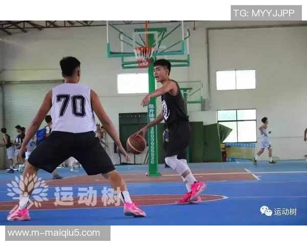 深圳篮球队领跑最新耐力榜单TOP10展现强劲实力与团队精神