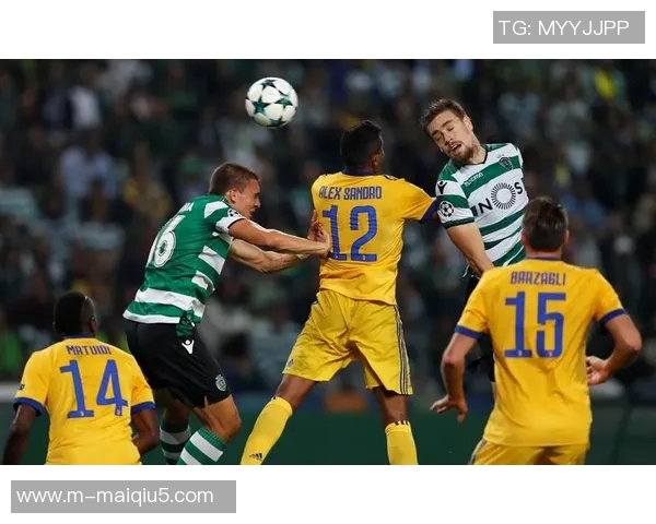 赵磊专访回顾乒乓球辉煌历程与欧冠足球精彩瞬间