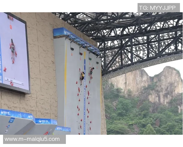 运动攀岩专题探讨杭州攀岩队在力量体育中的发展与成就